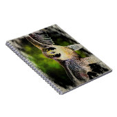 ペレグリン《鳥》ハヤブサ ノートブック (右側)