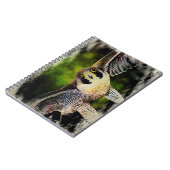 ペレグリン《鳥》ハヤブサ ノートブック (左側)