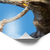 ペレグリン《鳥》ハヤブサ フォトプリント            (角)