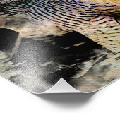 ペレグリン《鳥》ハヤブサ フォトプリント            (角)