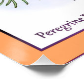 ペレグリン《鳥》ハヤブサ ポスター (コーナー)