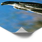 ペレグリン《鳥》ハヤブサ ポスター (角)