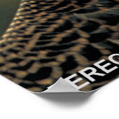 ペレグリン《鳥》ハヤブサ ポスター (角)