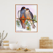 ペレグリン《鳥》ハヤブサ ポスター (キッチン)