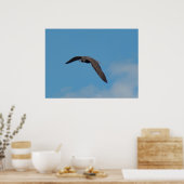 ペレグリン《鳥》ハヤブサ ポスター (キッチン)