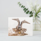 ペレグリン《鳥》ハヤブサ ポストカード (スタンド正面)