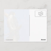 ペレグリン《鳥》ハヤブサ ポストカード (裏面)