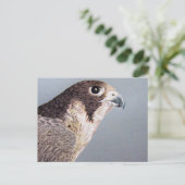 ペレグリン《鳥》ハヤブサ ポストカード (スタンド正面)