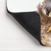 ペレグリン《鳥》ハヤブサ マウスパッド (コーナー)