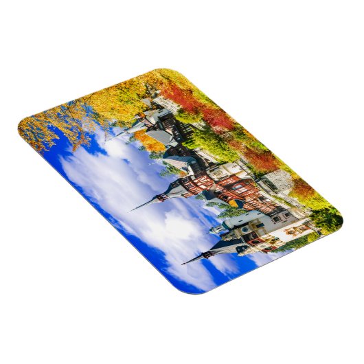 ペレス マグネット (右側)