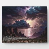 ペレックシラ稲妻 フォトプラーク (正面)