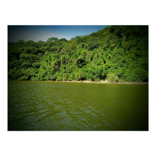 ペレビーチグアルジャブラジル ポスター (正面)