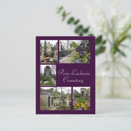 ペレラカイズ ポストカード (スタンド正面)