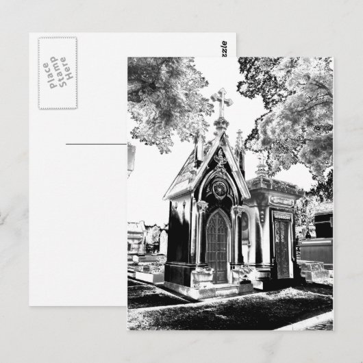 ペレラカイズ ポストカード (正面/裏面)