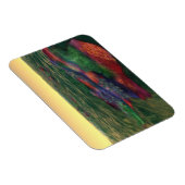 ペレランドラフレキシブルマグネット マグネット (右側)