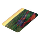 ペレランドラフレキシブルマグネット マグネット (左側)