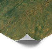 ペレランドラプリント ポスター (角)