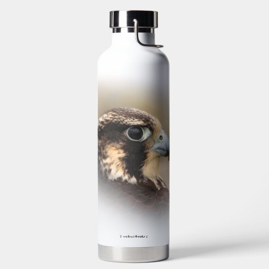 ペレ素晴らしグリン《鳥》ハヤブサのVignettedプロフィール ウォーターボトル (左面)