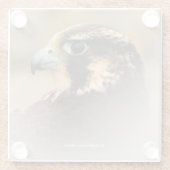 ペレ素晴らしグリン《鳥》ハヤブサのVignettedプロフィール ガラスコースター (裏面)