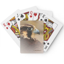 ペレ素晴らしグリン《鳥》ハヤブサのVignettedプロフィール