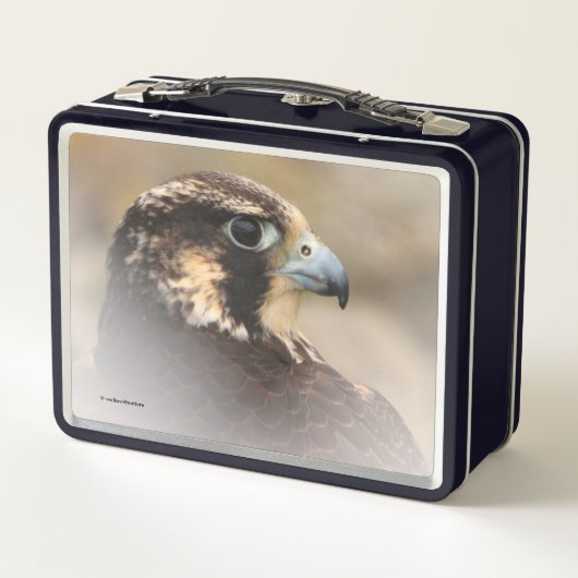 ペレ素晴らしグリン《鳥》ハヤブサのVignettedプロフィール メタルランチボックス (裏面)