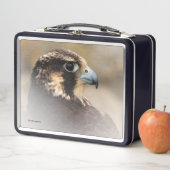 ペレ素晴らしグリン《鳥》ハヤブサのVignettedプロフィール メタルランチボックス (インサイチュ)