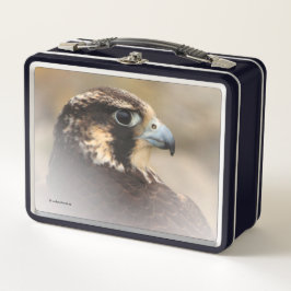 ペレ素晴らしグリン《鳥》ハヤブサのVignettedプロフィール メタルランチボックス