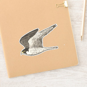 ペレ飛んでいるグリン《鳥》ハヤブサ色鉛筆アート シール