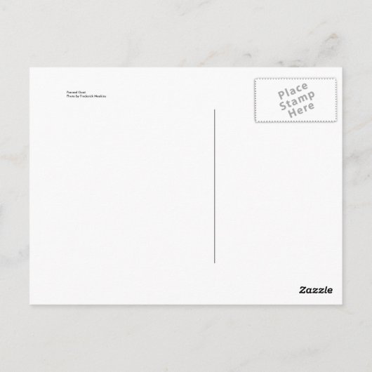 ペンで書かれたヤギ ポストカード (裏面)