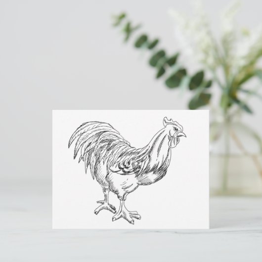 ペンとインクで鶏肉 ポストカード (スタンド正面)
