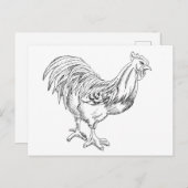 ペンとインクで鶏肉 ポストカード (正面/裏面)