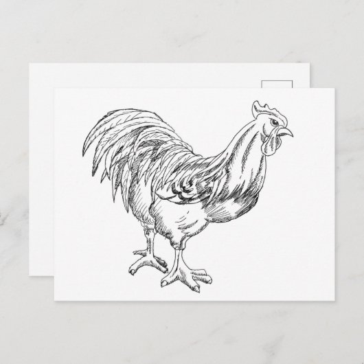 ペンとインクで鶏肉 ポストカード (正面/裏面)