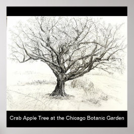 ペンとインクツリースケッチ ポスター