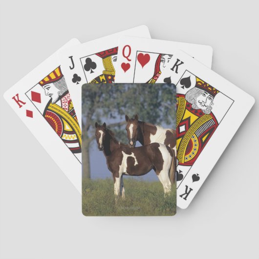 ペンキのロバ及び子馬 トランプ (裏面)