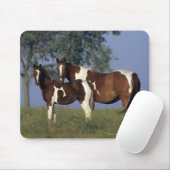 ペンキのロバ及び子馬 マウスパッド (マウス)