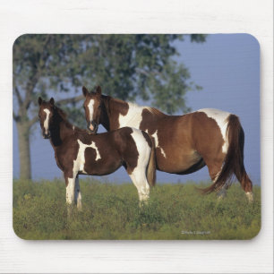 ペンキのロバ及び子馬 マウスパッド