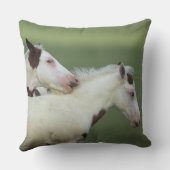 ペンキの子馬の遊ぶこと クッション (裏面)