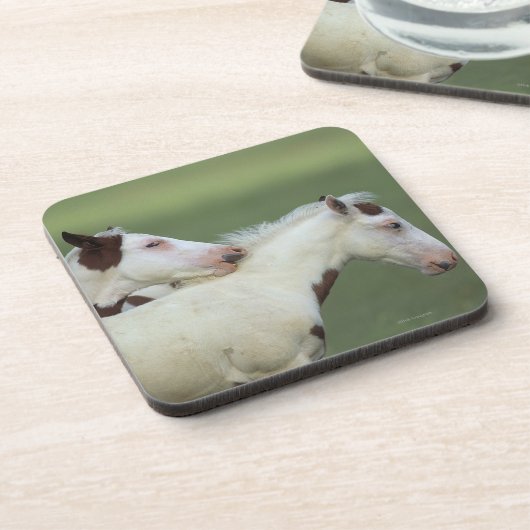 ペンキの子馬の遊ぶこと コースター (左側)