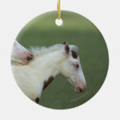 ペンキの子馬の遊ぶこと セラミックオーナメント (裏面)