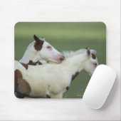 ペンキの子馬の遊ぶこと マウスパッド (マウス)