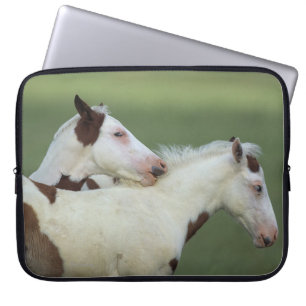 ペンキの子馬の遊ぶこと ラップトップスリーブ