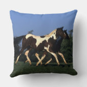 ペンキの満一年子の走ること クッション (裏面)