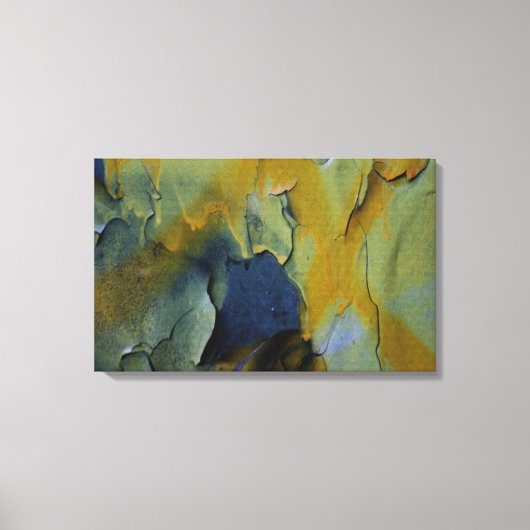 ペンキの皮をむくこと キャンバスプリント (正面)