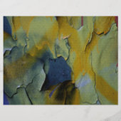 ペンキの皮をむくこと チラシ (裏面)