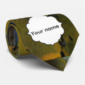 ペンキの皮をむくこと ネクタイ (ロール)