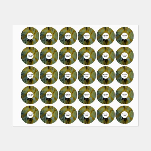 ペンキの皮をむくこと ラベル (シート)