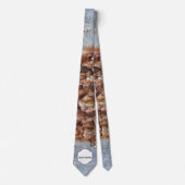 ペンキの質の皮をむくこと ネクタイ (正面)
