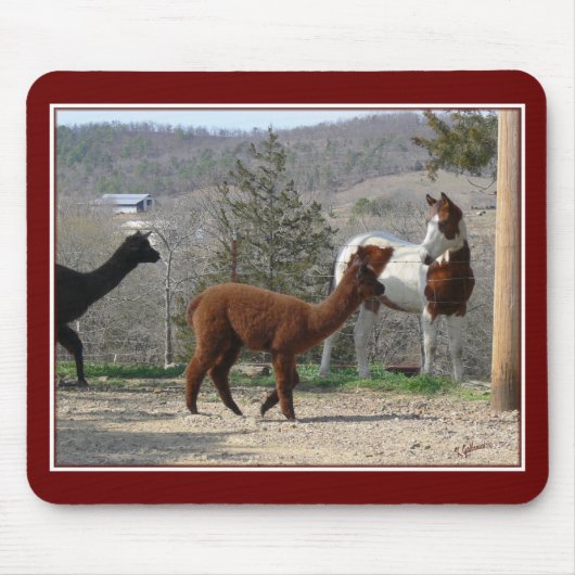 ペンキの馬のアルパカのマウスパッド マウスパッド (正面)