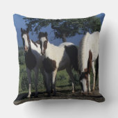 ペンキの馬のグループ クッション (裏面)