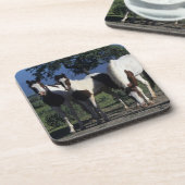 ペンキの馬のグループ コースター (左側)